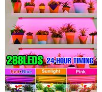 USB 5V LED Spettro completo Coltiva La striscia luminosa Piantina di fiori per interni Piante in vaso Lampada per coltivazione Dimmerabile con temporizzazione Accensione/spegnimento automatico