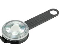 USB Flasher per cani ø 3 × 8 cm diversi