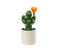 usefulbeauty Cactus, falsi di cactus - artificiali in vaso,Piccola succulenta artificiale per scaffale da ufficio interno, succulente falso per la decorazione del negozio