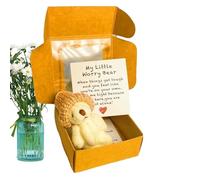 usefulbeauty Orso in scatola, orso imbottito in cartone, idea regalo con biglietto e borsa per il senso, per bambini, mamme, bambini, San , Natale