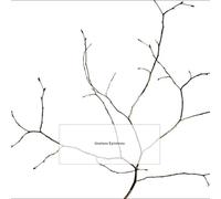 Useless Epitomes - K. Leimer (Audio cd)