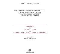 Usi civici e domini collettivi. La proprietà plurale e il diritto civile