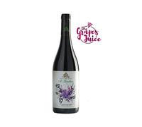 USIGLIAN DEL VESCOVO IL GRULLAIO 2021 VINO ROSSO COSTA TOSCANA IGT