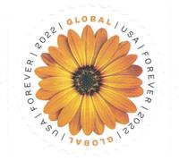 USPS Global International Mail Forever Postage Stamps (2 Sheets of 10)
