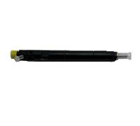 Utensili Iniettore 28231014 1100100-ED01 Ugello iniettore diesel adatto per Delphi Adatto per Great Wall Adatto per motore Hover H5 H6 GW4D20 2.0T