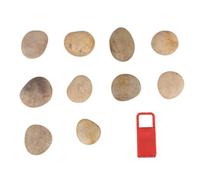 UTHCLO 1set Pietre Dipinte Mano per Ragazzo Ragazza Sassi Naturali per Creativo con Supporto Incluso per attività Scolastiche e Pratiche Artistiche