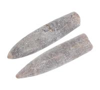 UTHCLO 2 Pezzi Specimen Autentici Belemnite per Educazione Fossili Naturali per Studio Geologia e Paleontologia e Decorativi
