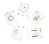 UTHCLO 5 Set Kit Didattico Elettromagnetismo con Limatura di Ferro, Strumento Dimostrativo Campo Elettrostatico per Esperimenti Scientifici Scolastici e Laboratorio di Fisica