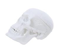 UTHCLO Modello Anatomico Cranio Umano in Plastica Staccabile 6,5x5 Cm, Teschio Realistico Miniatura per Laboratorio di Biologia, Insegnamento e Studio Infermieristico