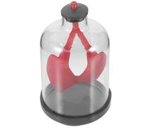 UTHCLO Modello Didattico di Respirazione Polmonare Assemblato Diaframma in Gomma e Sacche Polmonari, Sussidio Educativo per Scuola e Apprendimento della Fisiologia Umana