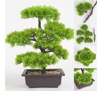 Utili Piante Bonsai Artificiali in Plastica Vaso Ufficio 22cm Accessori