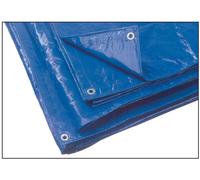 TELO OCCHIELLATO 6X10 COPERTURA MOTO LEGNA AUTO PROTEZIONE IMPERMIABILE PIOGGIA