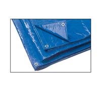 Utilia Telo Occhiellato Telone Antistrappo Multiuso mt. 3x3 Bianco