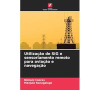 Utilização de SIG e sensoriamento remoto para aviação e navegação