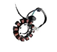 UTJUYFCGF Bobina Statore Magnete A 12 Poli per Motociclette per CG110 2014 2015 2016 2017 2019 ACE110 2014 2015 2019 31120-K08-901