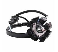 UTJUYFCGF Bobina Statore Magnete Generatore Alternatore per CRF250R A-A 2A-A A-B 2A CRF 250R 2004 2005 2006 2007 2008 2009