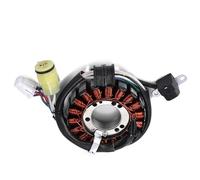 UTJUYFCGF Bobina Statore per Motocicletta per YFM250B Big Bear 250 YFM250 YFM25B Bruin 250 YFM660R Raptor 660R 2001-2005 1P0-H1410-00