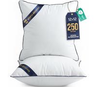 Utopia Bedding Cuscini, Imbottitura per Letto e Come Cuscino decorativi, cuscino per divano, cuscini decorativi (2, Bianco, 30x30 cm)