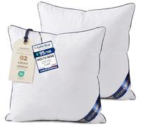 Utopia Bedding Cuscini, Imbottitura per Letto e Come Cuscino decorativi, cuscino per divano, cuscini decorativi (2, Bianco, 40x40 cm)