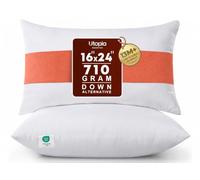 Utopia Bedding - Cuscino decorativo per interni, per divano e letto (confezione da 2 pezzi, bianco), 40 x 60 cm
