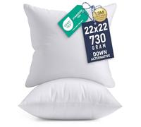 Utopia Bedding Throw Pillows Insert (Pack of 2, White) - 22 x 22 Inches Bed and Couch Pillows - Indoor Decorative Pillow