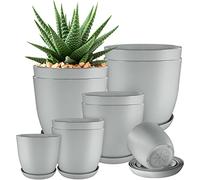 Utopia Home Confezione da 10 vasi 18/17/15/13/12 cm Fioriera con sottovaso Per cucina, balcone, piante da giardino, vasi da vivaio per interni Grigio.