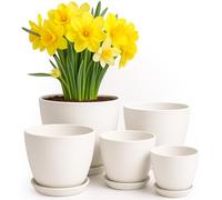 Utopia Home Fioriere in plastica - Vasi per fiori da interni, moderni vasi decorativi in plastica per piante, piante grasse, fiori e cactus (confezione da 5, multidimensione, bianco)