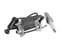UTVTNPUKM Kit candela modulo bobina di accensione for tosaerba adatto for tosaerba for Einhell GH-PM 46/1 S GH-PM 40P GC-PM 46/1 S Sostituire la bobina di accensione