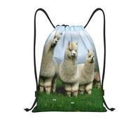 Uusnwaa Zaino con coulisse Alpaca Family Print Bag Sackpack Cinch resistente all'acqua per palestra shopping sport yoga, Nero , M, Zaino da viaggio
