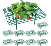 Uuxkgu 10pcs Protezione per Fragole,Supporti per Fragole Proteggono Le Fragole,Supporti per Piante di Fragola,Supporti per Fragole,Supporti per Piante di Fragola,Cornice di Supporto per Fragole-10pcs
