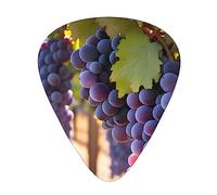 Uva desertica i 12 plettri per chitarra includono tre plettri: sottili, medi e pesanti. Adatto per chitarre elettriche, acustiche e bassi di tutte le forze