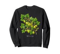 UVA Spina pianta Illustrazione Ribes UVA-crispa Felpa