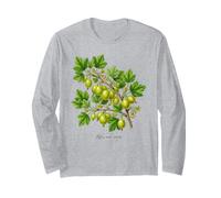 UVA Spina pianta Illustrazione Ribes UVA-crispa Maglia a Manica