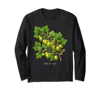 UVA Spina pianta Illustrazione Ribes UVA-crispa Maglia a Manica