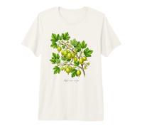 UVA Spina pianta Illustrazione Ribes UVA-crispa Maglietta Premium