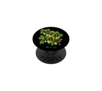 Uva spina pianta illustrazione Ribes uva-crispa PopSockets PopGrip Adesivo