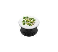 Uva spina pianta illustrazione Ribes uva-crispa PopSockets PopGrip Adesivo