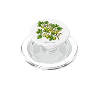 Uva spina pianta illustrazione Ribes uva-crispa PopSockets PopGrip per MagSafe