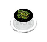 Uva spina pianta illustrazione Ribes uva-crispa PopSockets PopGrip per MagSafe
