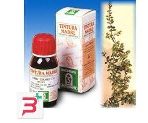 UVA URSINA 30 50ML TM