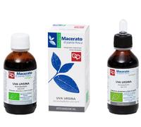 Uva Ursina Tintura Madre Bio 100 ml