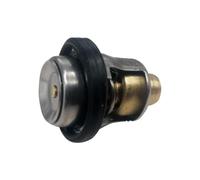 UvEdjOr Termostato for Motori fuoribordo 9,9-70 CV 17670-94400 17670-94404 17670-94403 17670-94401 5031758 17670-94402