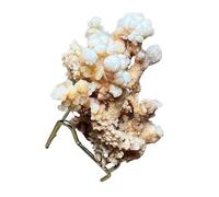 UYCUODLUY 1 Pezzo di stalattite da 80-100 g