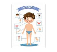 UYCUODLUY My Body Parts with Fun Facts, Educational Anatomy for, Engaging Classroom Wall Decor for Preschool Kindergarten Science Learning(Unframed,16x24inch(40x60cm))