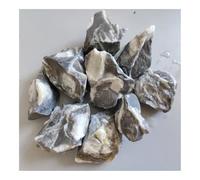 UYCUODLUY Pietra Decorativa in Conchiglia da 100 g, 2-4 cm, Pietra Grezza frantumata