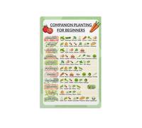 UYCUODLUY Vegetable Garden Companion Planting Chart - Plant Pairing Guide for Beginners, Educational Gardening Poster for Backyard or Urban Farm(Unframed,08x12inch(20x30cm))