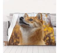 UYHhgqw Coperta in flanella da 320 g, morbida, calda e resistente per letto, divano e viaggio con il piccolo cane che guarda il cielo