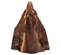 UYHhgqw Costume da strega di Halloween con cane sotto il tramonto, mantello con cappuccio per uomo e donna, costume horror horror per Halloween, costume cosplay
