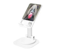 UYHhgqw Supporto universale per telefono, supporto da scrivania regolabile per iPhone, telefoni cellulari e tablet, girevole a 360°, panda che gioca
