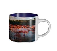 UYHhgqw Tazza in ceramica con fenicottero tropicale paradiso tropicale, per donne, tazza da caffè, grande capacità e manico, per ufficio e casa